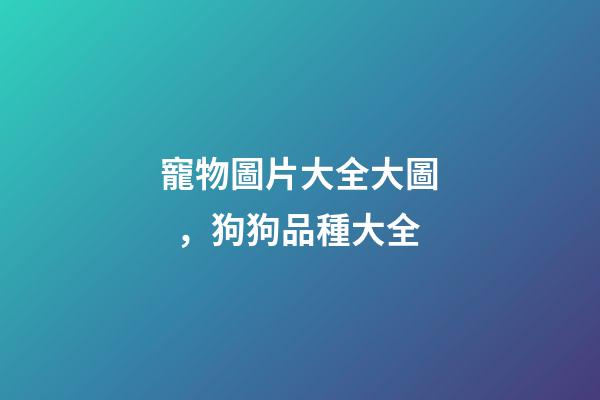 寵物圖片大全大圖，狗狗品種大全(帶圖片)-第1張-觀點-玄機派